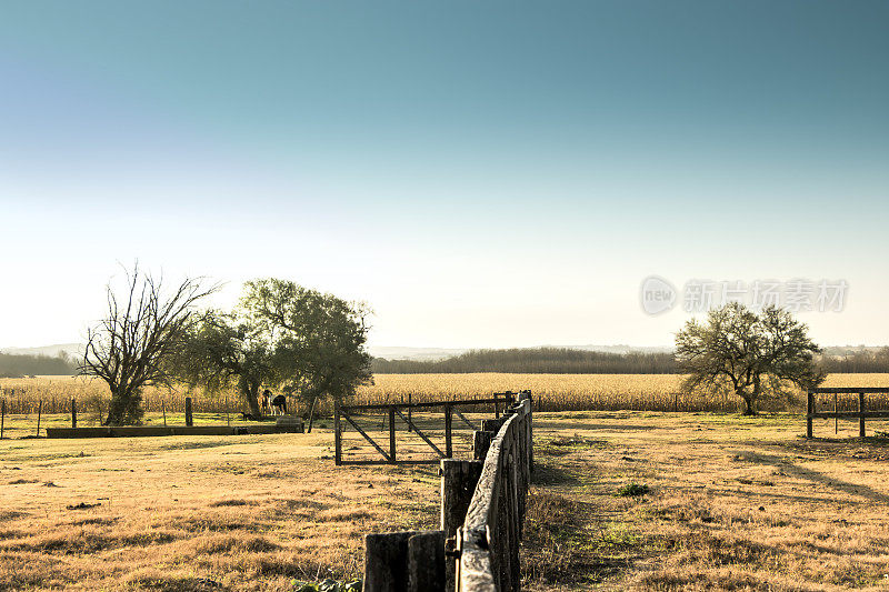 农业和畜牧业在潮湿的Pampa, Córdoba，阿根廷